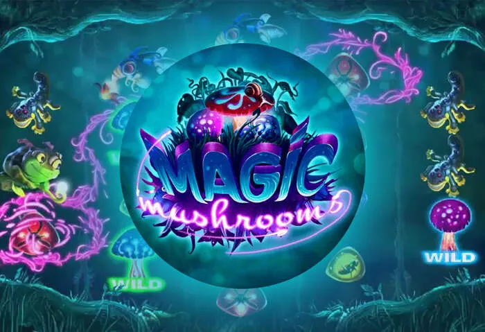 Popular online slot machines with exclusive casino bonuses and progressive jackpots.